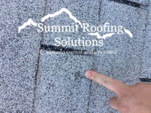 summit roofing solutions LLC roof